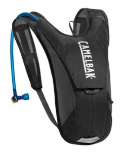 Chicago Summer Festivals