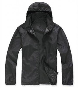 Chicago Summer Festivals