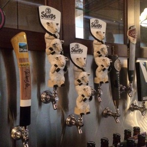 11935005_10204909410878565_8136531672573262723_n