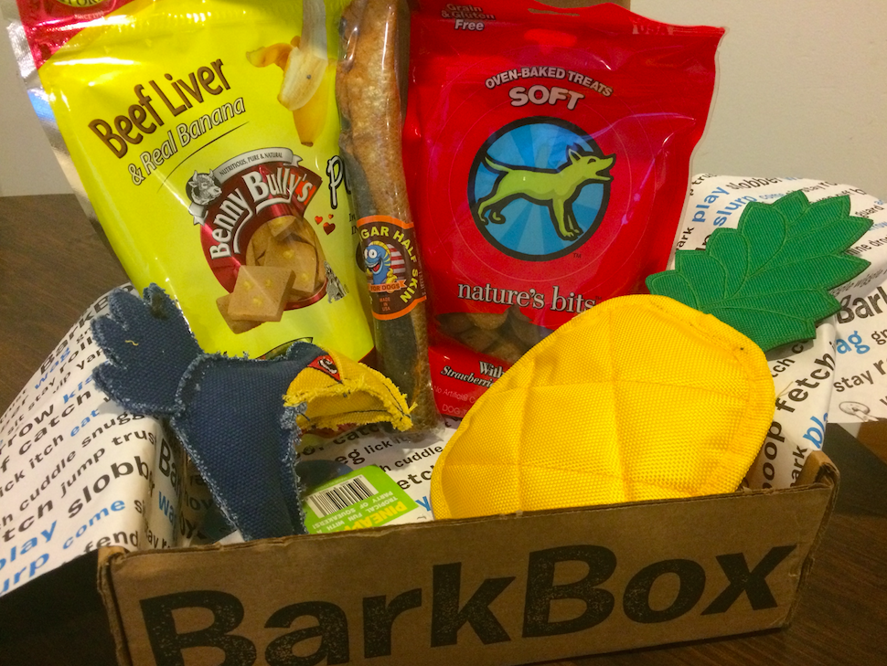 BarkBox Subscription Box Review