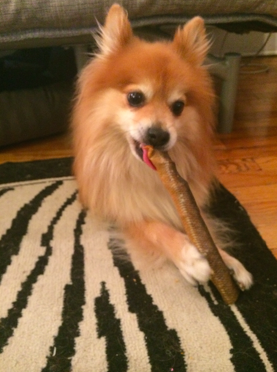 BarkBox Subscription Box Review