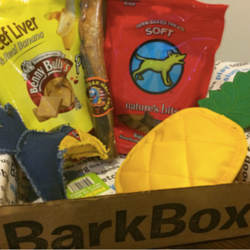BARKBOX: A SUBSCRIPTION BOX REVIEW